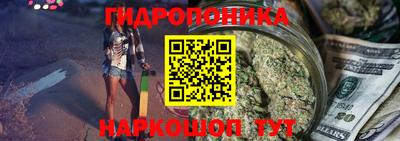 крисы Апшеронск