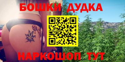 крисы Апшеронск