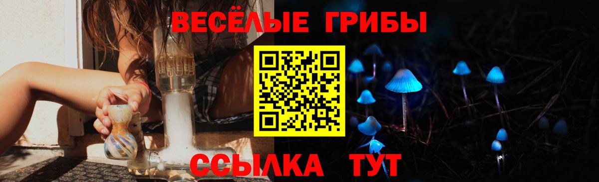 Псилоцибиновые грибы GOLDEN TEACHER  Вход с VPN  Великий Новгород 